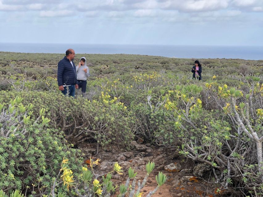 Lanzarote: A Different Perspective Guided Driving Tour - Common questions