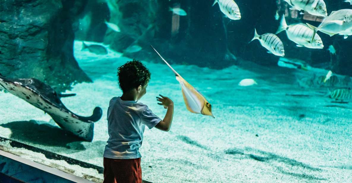 Lanzarote: Aquarium Entry Ticket - Attraction Highlights