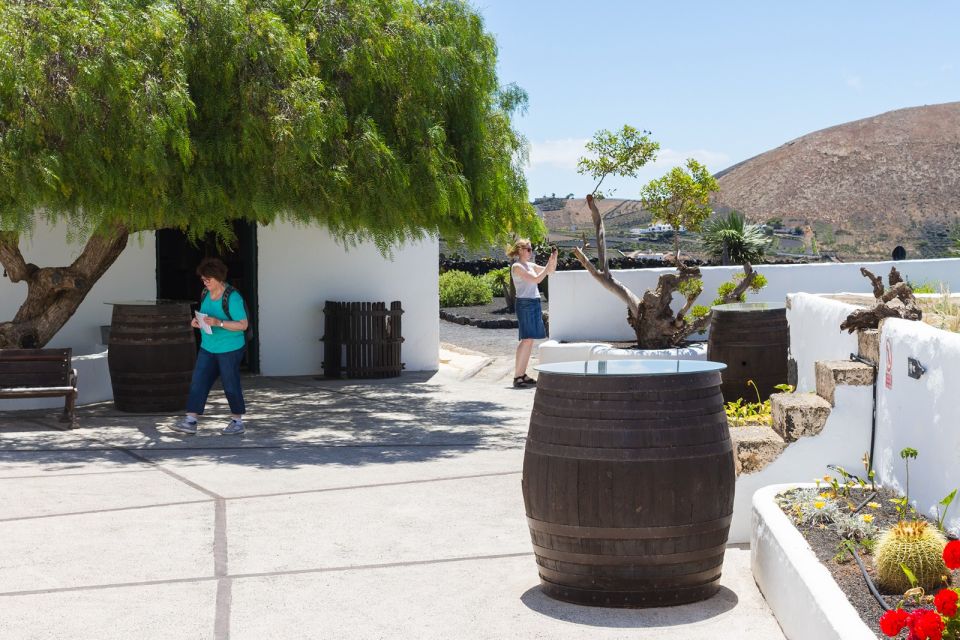 Lanzarote: Audio Guided Tour of the El Grifo Wine Museum - Experience