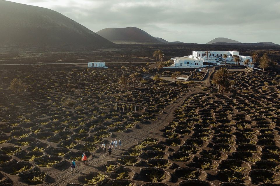 Lanzarote: Vineyard Tour With Wine and Chocolate Tasting - Highlights of the Tour