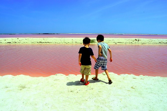 Las Coloradas Pink Lake With Ría Lagartos Boat Trip and Meals  - Cancun - Booking Information Overview