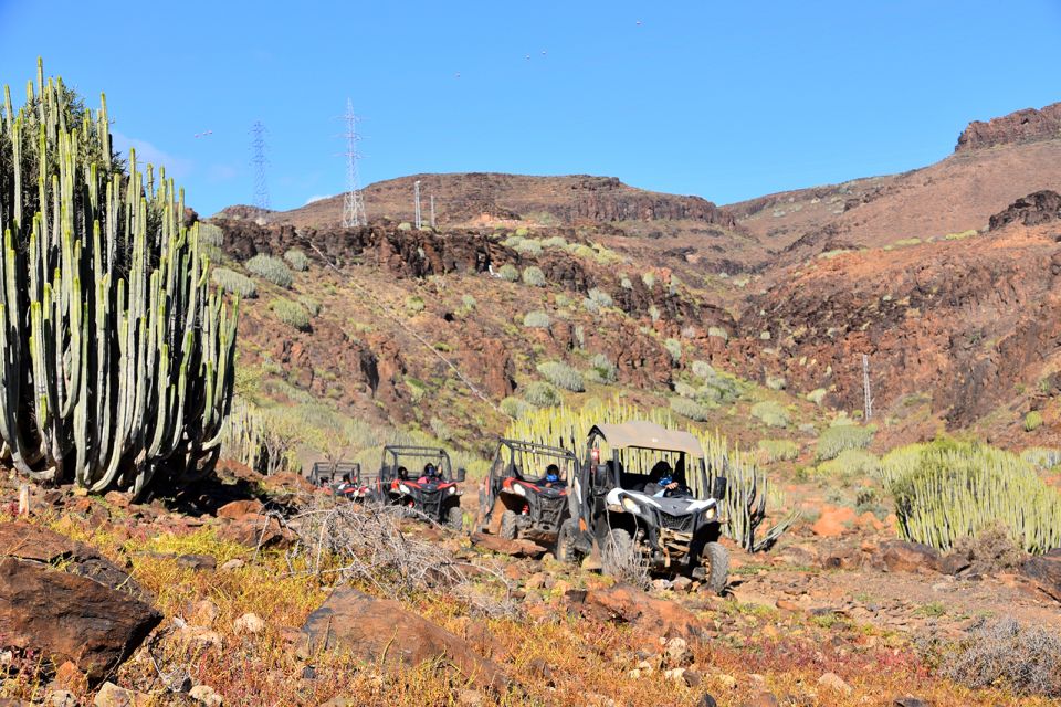 Las Palmas: Gran Canaria Guided Buggy Tour - Tour Highlights