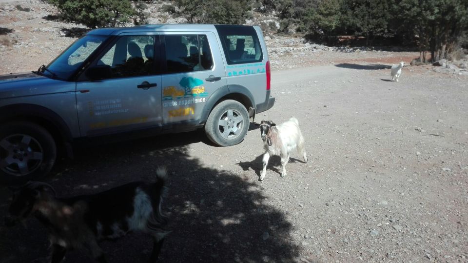 Lasithi Area: Cretan Culture & Nature Tour - Language Options & Group Size