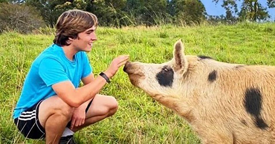 Laupahoehoe: Farm Animal Sanctuary Private Tour - Highlights