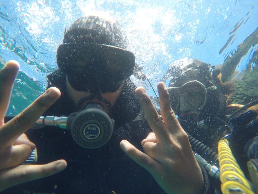 L'Estartit: Try Dive and Snorkeling in Montgrí National Park - Check-In Process