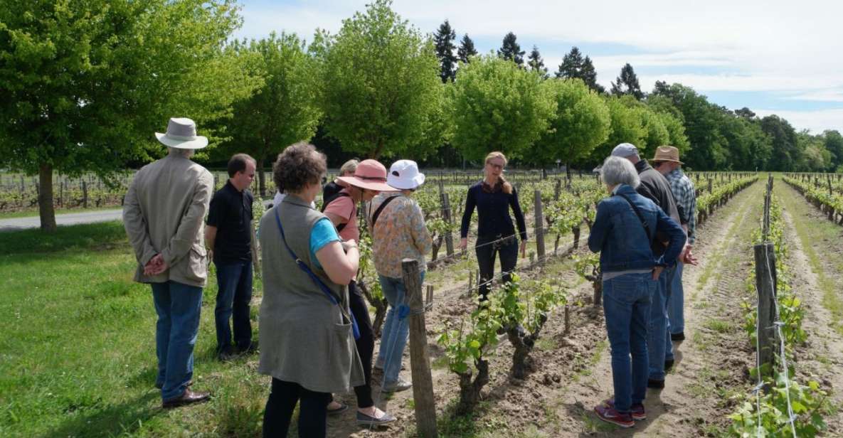 Loire Valley Tour & Wine Tasting Vouvray, Chinon, Bourgueil - Tour Description