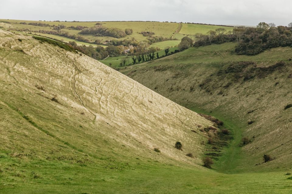 London: Set out on a Guided Tour of South Downs White Cliffs - Itinerary