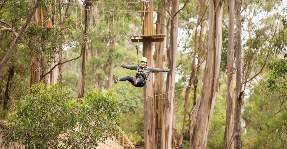 Lorne: Live Wire Park Super Circuit Ticket - Experience Description