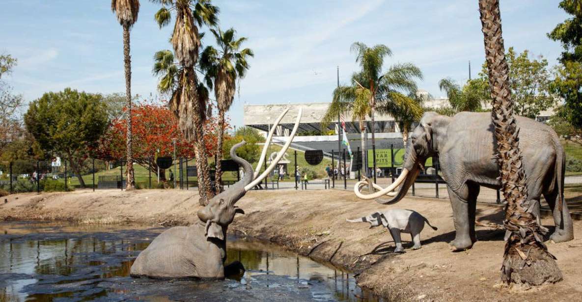 Los Angeles: La Brea Tar Pits Museum Ticket - Highlights of the Museum