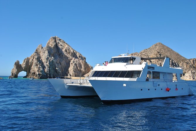 Los Cabos Reef Snorkeling Cruise With Lunch and Open Bar - Traveler Feedback