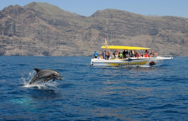 Los Gigantes: Dolphin & Whale Watching Cruise With Swimming - Highlights