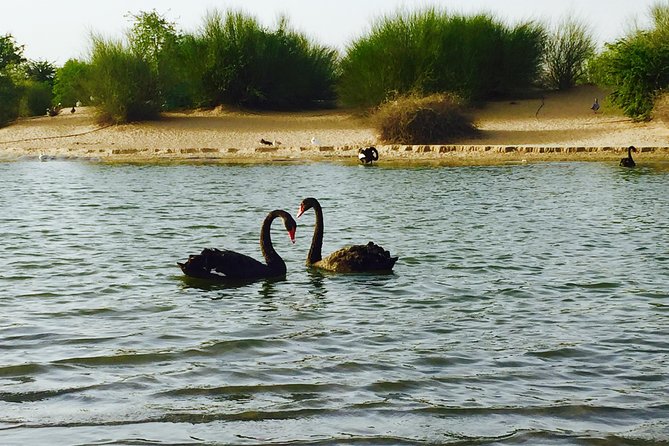 Love Lake Dubai Heart Shaped Lake in The Desert Dubai Tour Package - Flexible Cancellation Policy Details
