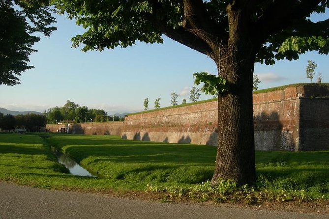 Lucca Highlights Private Walking Tour - Knowledgeable Tour Guide