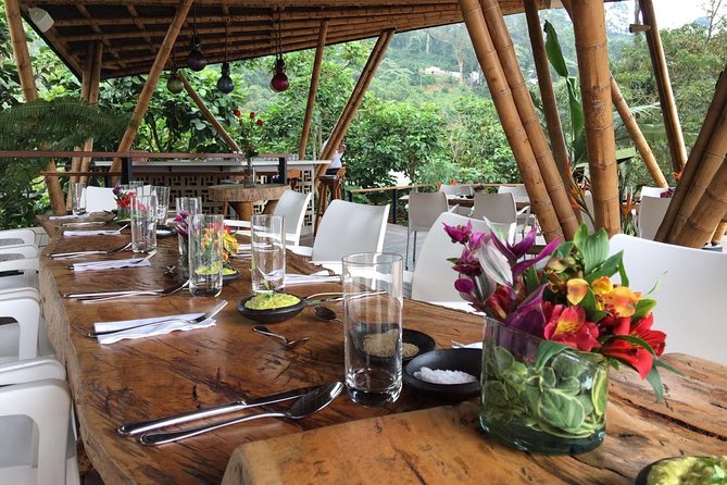 Luxury Coffee Plantation Private Tour (9 Hrs.) - Pricing Information