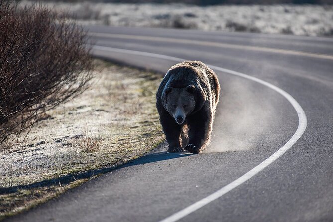 Luxury Private Grand Teton National Park Full-Day Tour - Cancellation Policy and Guidelines