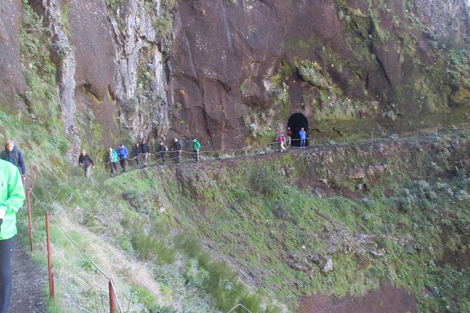 Madeira Full-Day Hiking Excursion - Reviews and Information