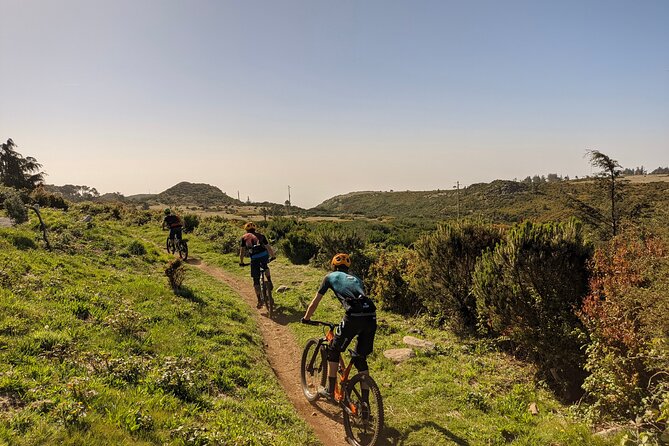 Madeira Island Guided Mountain Biking Adventure - Pricing and Terms