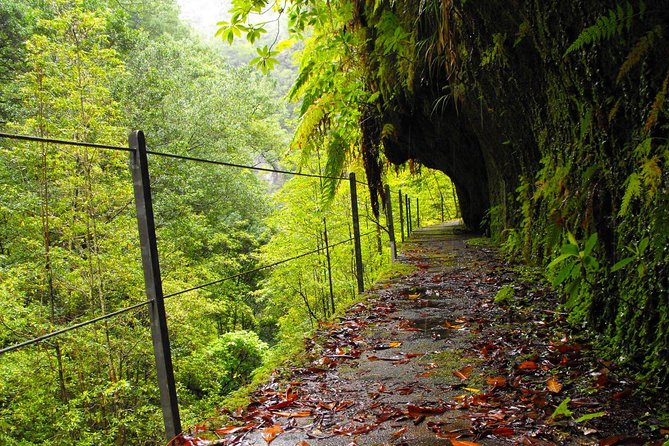 Madeira: Private Guided Levada Walking Tour  - Funchal - Additional Information