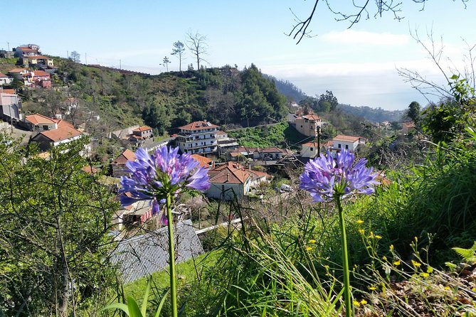 Madeira Vale Do Paraíso Day Walking Tour - Logistics