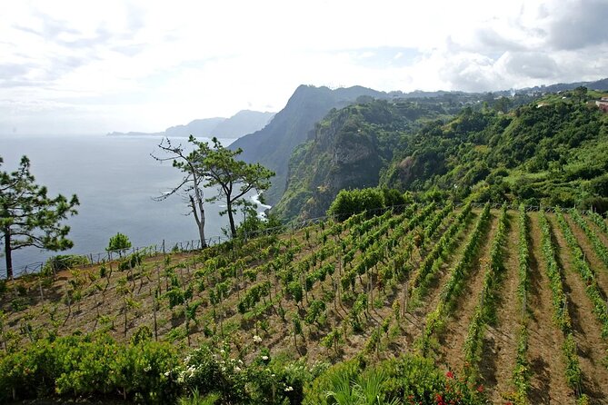 Madeira Wine Tasting and Sightseeing Private Tour From Funchal - Sightseeing Itinerary