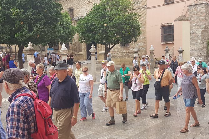 Malaga Shore Excursion: Small Group Walking & Scenic Tour - Group Size & Guide