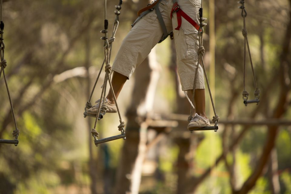 Mallorca: Adrenaline Tree Top Adventure Entry Ticket - Customer Reviews