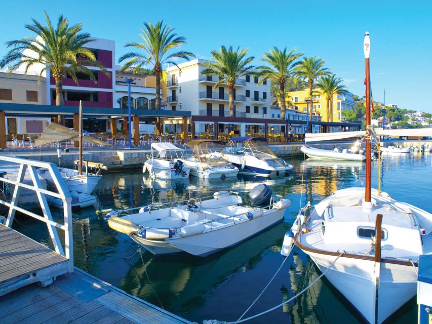 Mallorca: Catamaran Coastal Cruise With Lunch - Provider Information