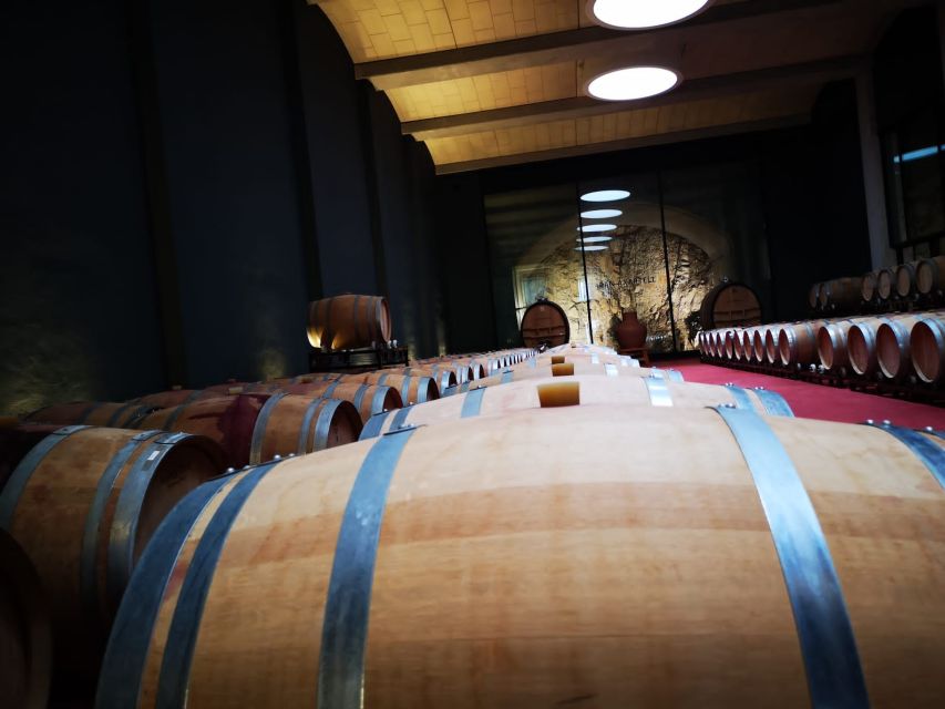Mallorca: Full-Day Winery Small Group Tour - Tour Highlights