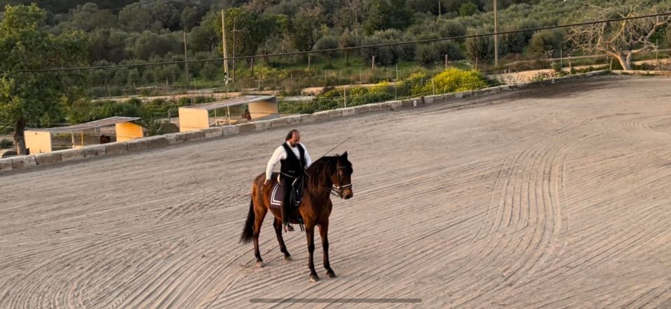 Mallorca: Mallorcas Sunset & Spanish Riding School Show - Full Experience Description