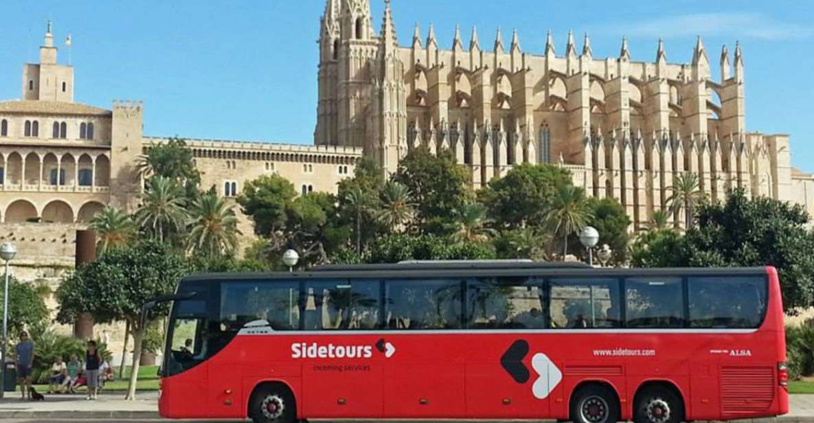 Mallorca: Shared 1-Way Transfer From Airport to Hotel - Service Highlights