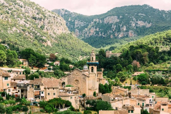 Mallorca Shore Excursion: Exclusive Soller and Valldemosa - Citrus Trees Sightseeing