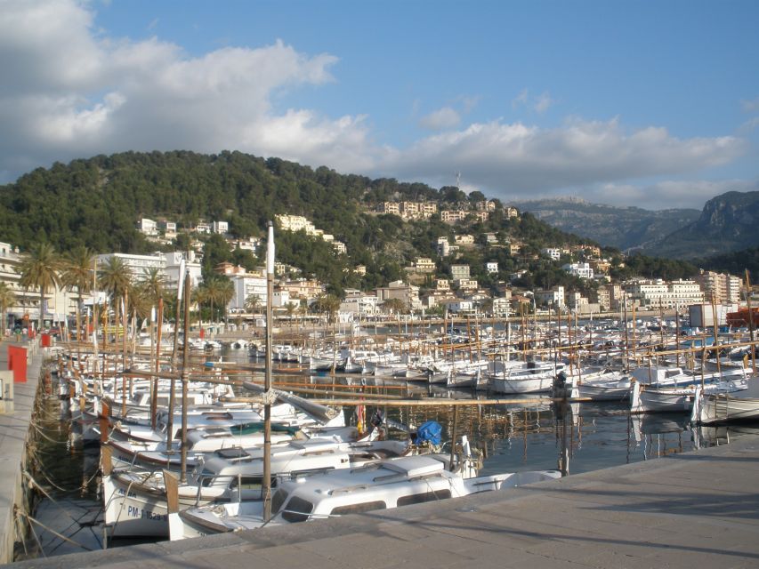 Mallorca: Soller Port and Valldemossa - Important Information