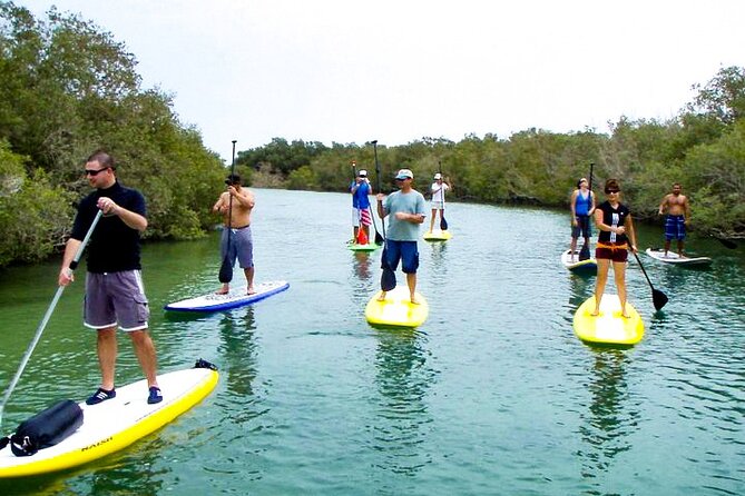 Mangrove Kayaking Abu Dhabi - Operational Details and Participant Requirements