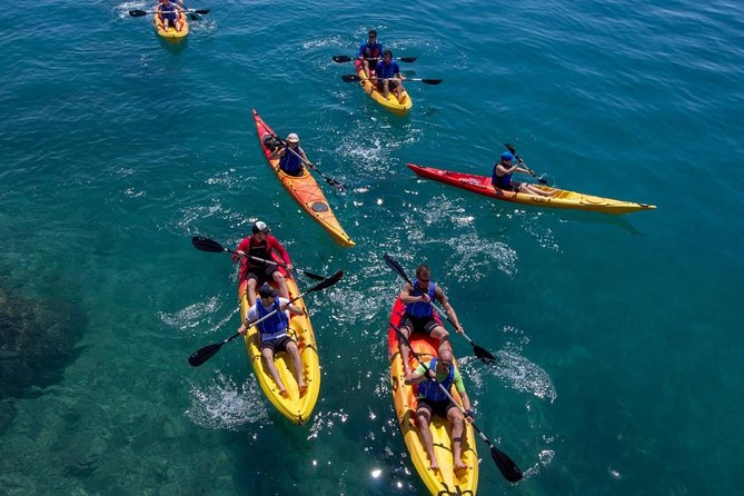 Mangroves Kayaking With Pickup & Drop off - Cancellation Policy Details