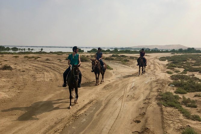 Mangroves Ride - Choosing the Right Tour Package