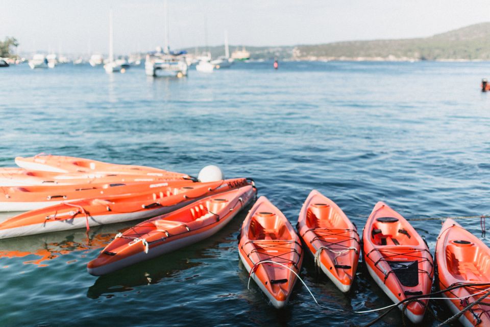 Manly: Mini Kayak Tour on Sydneys North Harbour - Includes