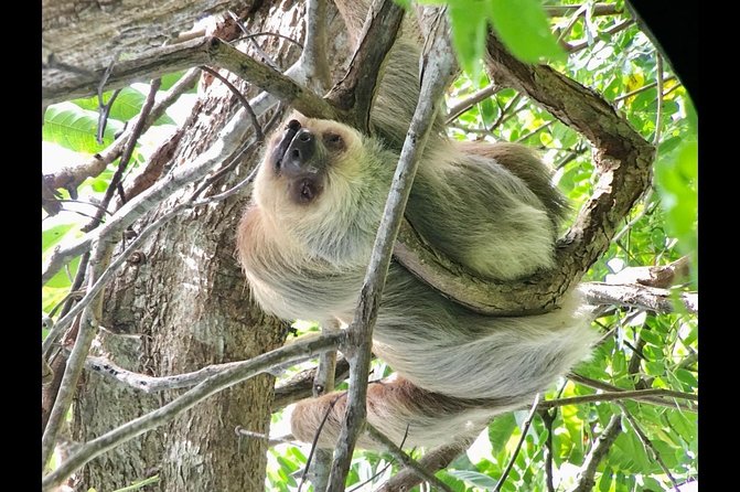 Manuel Antonio National Park Afternoon Wildlife Experience - Beach Relaxation