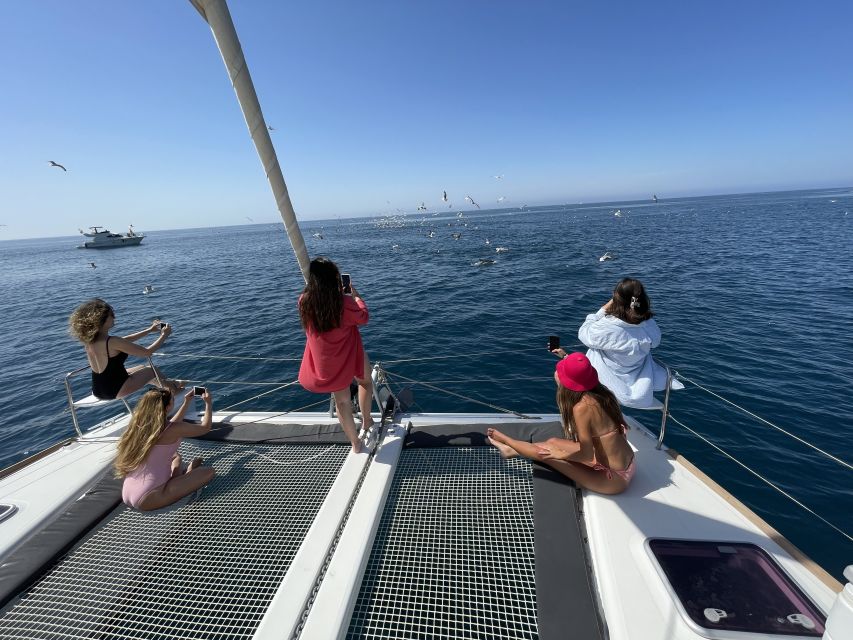 Marbella: Catamaran Tour With Dolphin Watching - Full Description