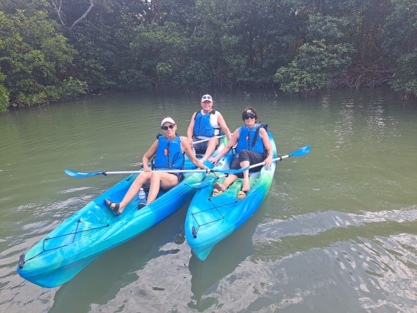 Marco Island: Kayak Mangrove Ecotour in Rookery Bay Reserve - Logistics and Information