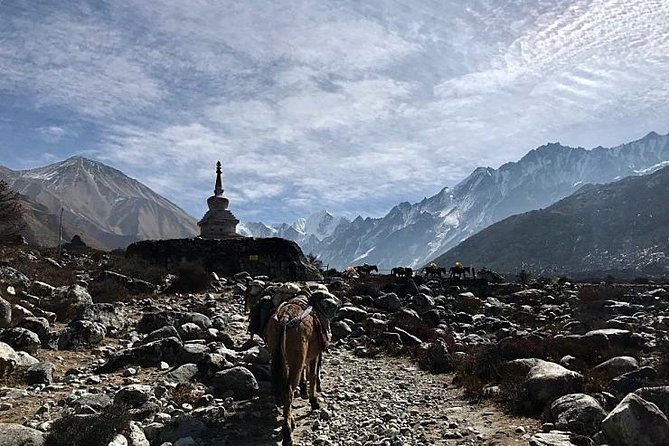 Mardi Himal Trek - Common questions