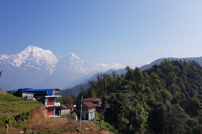 Mardi Himal Trek - Accommodation Options