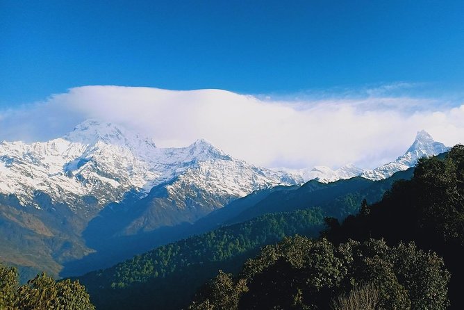 Mardi Himal Trek - Pricing and Packages