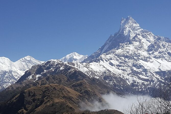Mardi Himal Trek - Traveler Experience Highlights