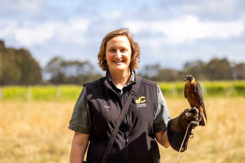 Margaret River: Birds of Prey Encounter and Forest Walk - Witness Magnificent Birds of Prey