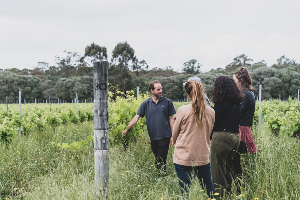 Margaret River: Food and Wine Tour With Tastings and Lunch - Important Information for Participants