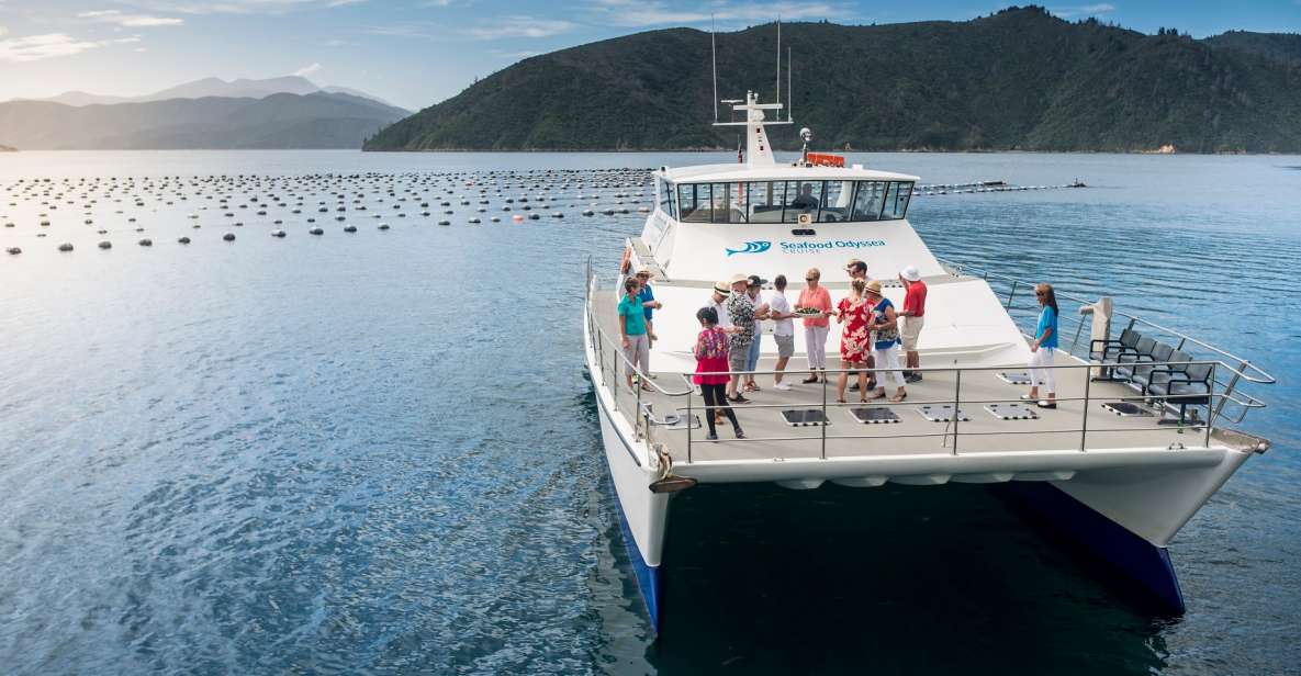 Marlborough: Full-Day Wine and Seafood Tour With Cruise - Seafood Cruise in Marlborough Sounds