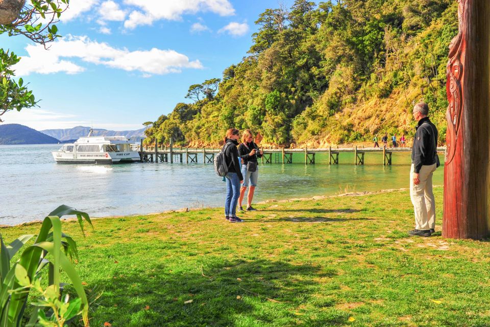 Marlborough Sounds and Ship Cove Cruise From Picton - Experience Highlights