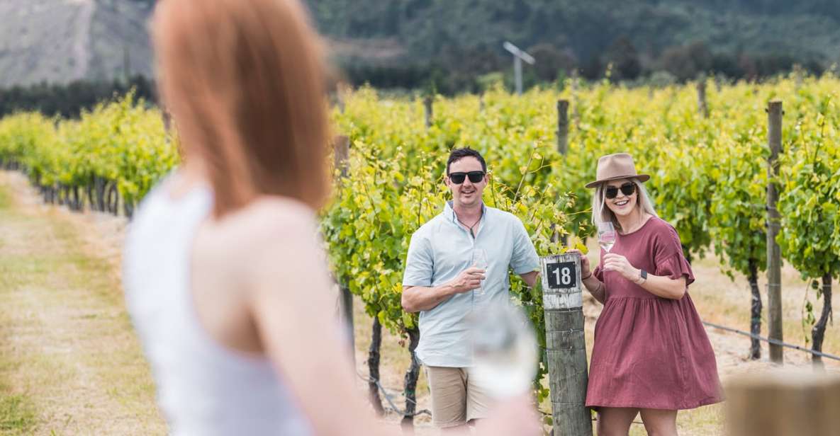 Marlborough: Wineries Visit With Tastings and 2-Course Lunch - Inclusions