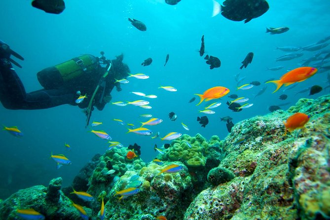 Marmaris & Icmeler Scuba Diving - Cancellation and Information