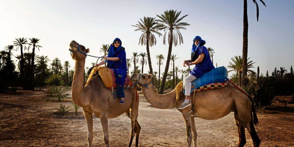 Marrakech: Camel Ride in the Palm Grove - Activity Description